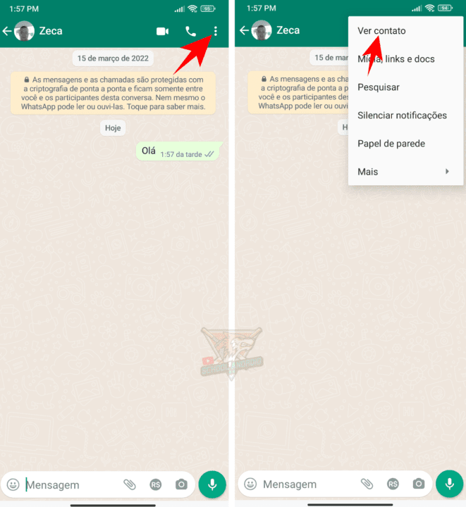 WhatsApp: sons diferentes em cada conversas