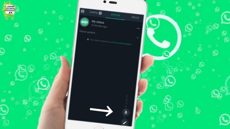 WhatsApp status de áudio, função inovadora