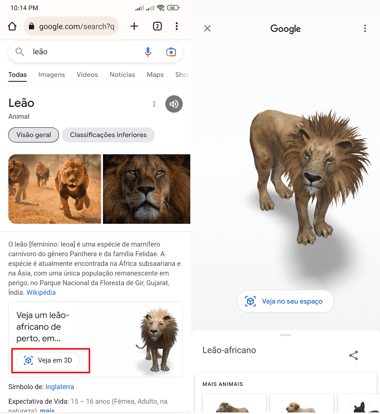 Pesquisar e ver animais em 3D no Google