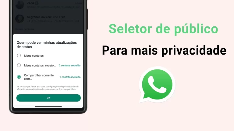 Como usar o Seletor de Público Privado no WhatsApp