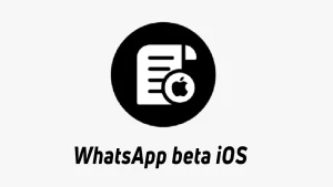 WhatsApp (beta) para iOS, o que há de novo? versão 23.6.0.74