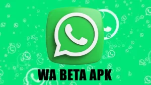 WhatsApp beta APK