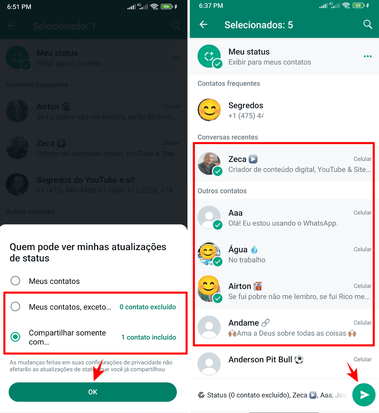 Como usar o Seletor de Público Privado no WhatsApp