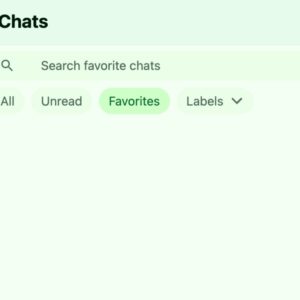 WhatsApp WEB recurso de filtragem de contatos favoritos