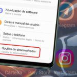 Ativando modo desenvolvedor