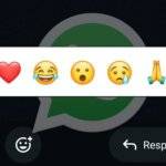 WhatsApp novas reações de mídia e atalhos em Imagens, GIFs e Vídeos