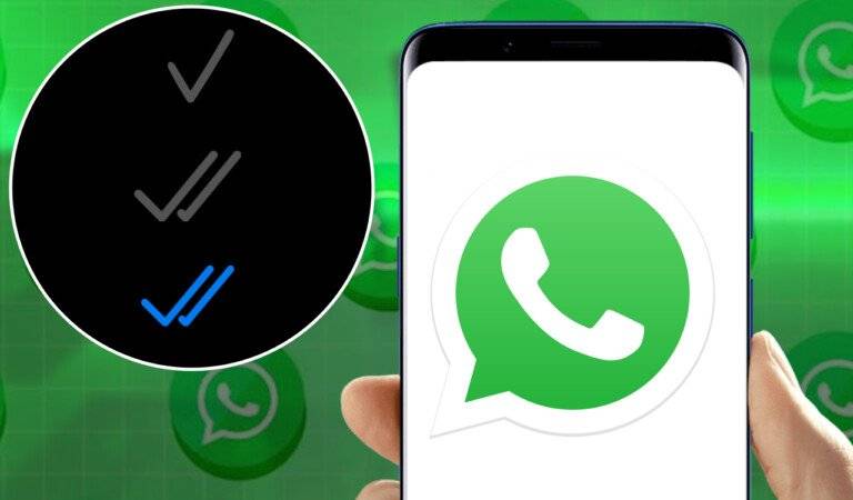 WhatsApp: O que significa uma única marca cinza?