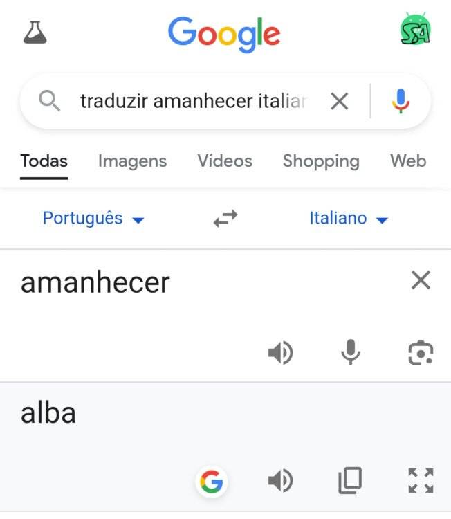Google pesquisa widget traduzir