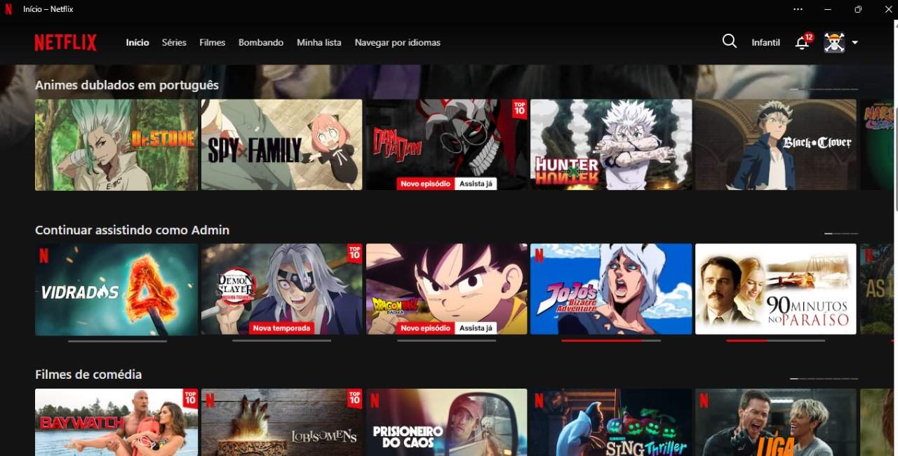 Netflix no windows