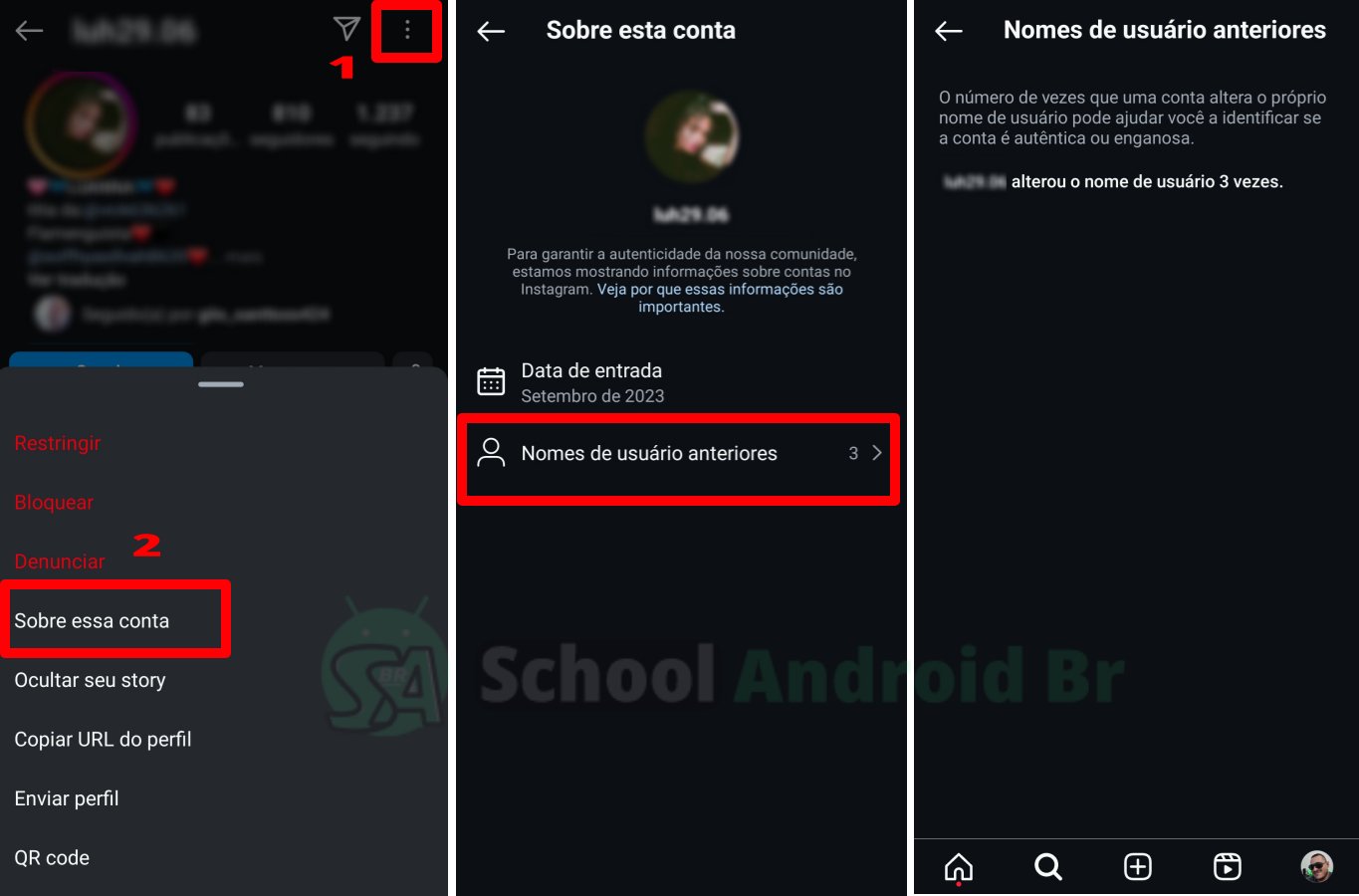 como verificar o histórico de alterações de nome de usuário no Instagram