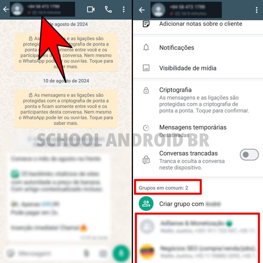 mensagem de número desconhecido no Whatsapp