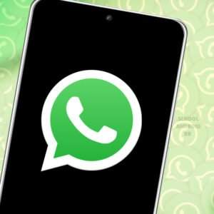 whatsapp função pesquisa de imagem na web