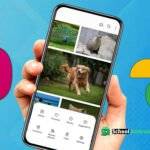 Galeria Samsung