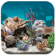 3d aquarium live wallpaper logotipo