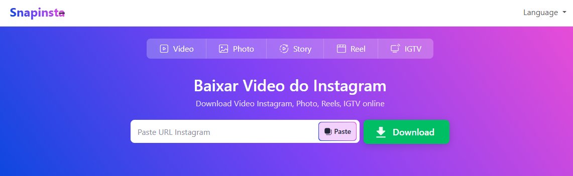 site para baixar vídeos do Instagram no google