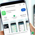 tudo sobre whatsapp business