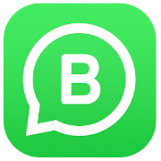 whatsapp business logo