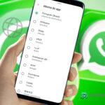 Ilustração do WhatsApp mostra o menu para alterar o idioma do aplicativo