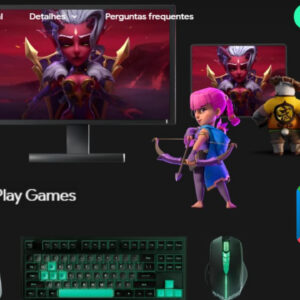 Google Play Store no PC