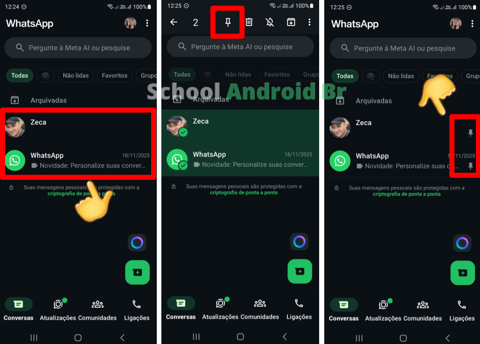 Tela inicial do WhatsApp mostrando a conversa selecionada e o ícone de pino para fixar no topo.