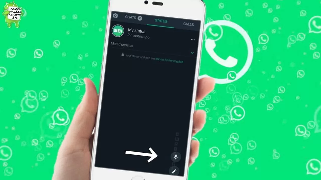 WhatsApp status de áudio, função inovadora